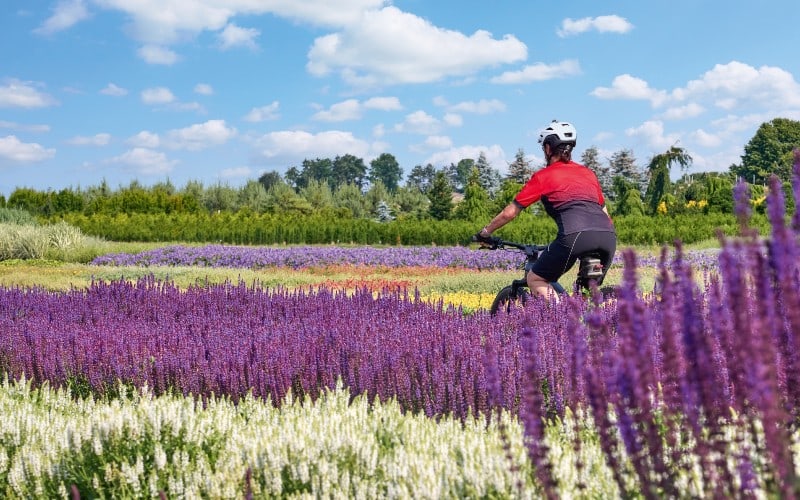 Flussgenuss - Vom Burgund in die Provence 2