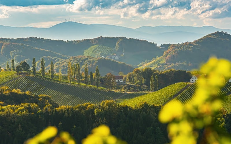 Die steirische Toskana 7