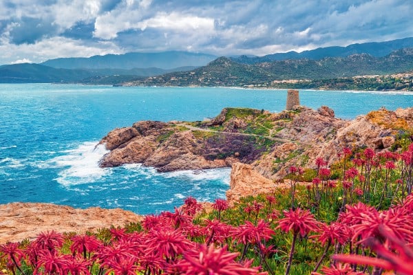 Korsika - Insel der Schönheit Korsika - Insel der Schönheit 10