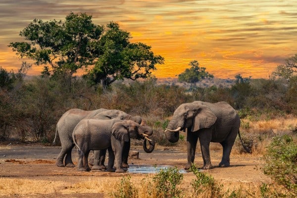 Südafrika - Entlang der legendären Garden Route Südafrika - Entlang der legendären Garden Route 37