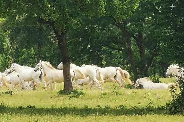 Reisebericht – Slowenische Riviera Reisebericht – Slowenische Riviera 3