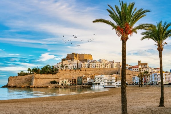 Orangenblütenküste Orangenblütenküste 3