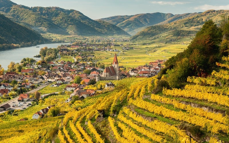 Flussgenuss Auf der blauen Donau 1