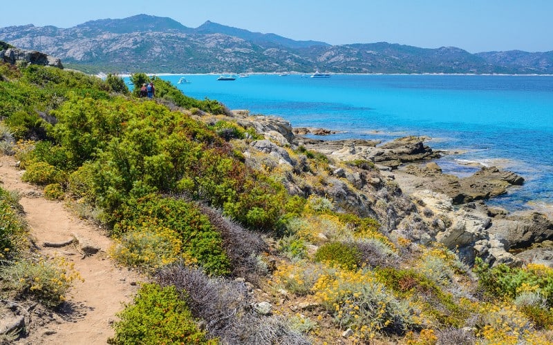 Désert des Agriates