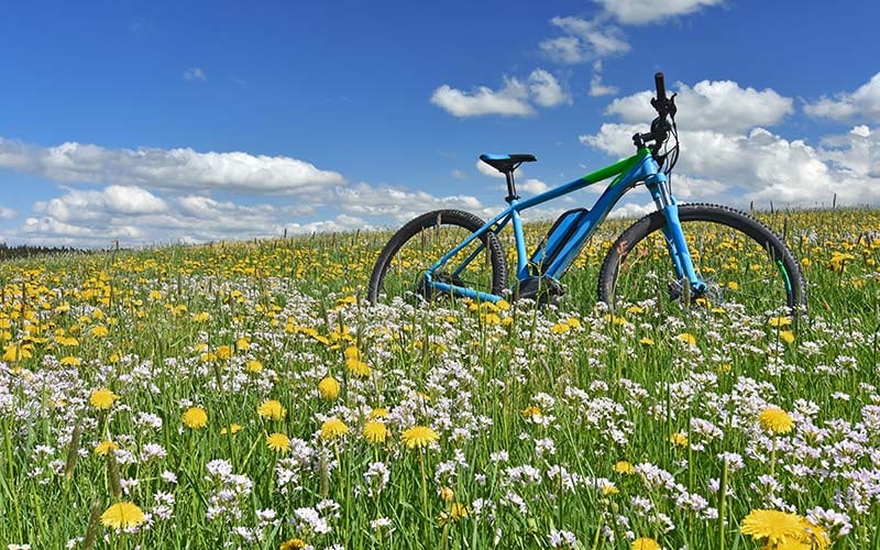 Bicycle in a colorful spring meadow with yellow dandelions and white cuckoo flowers under blue sky City e-Bike: Wie treffe ich die richtige Wahl? 1