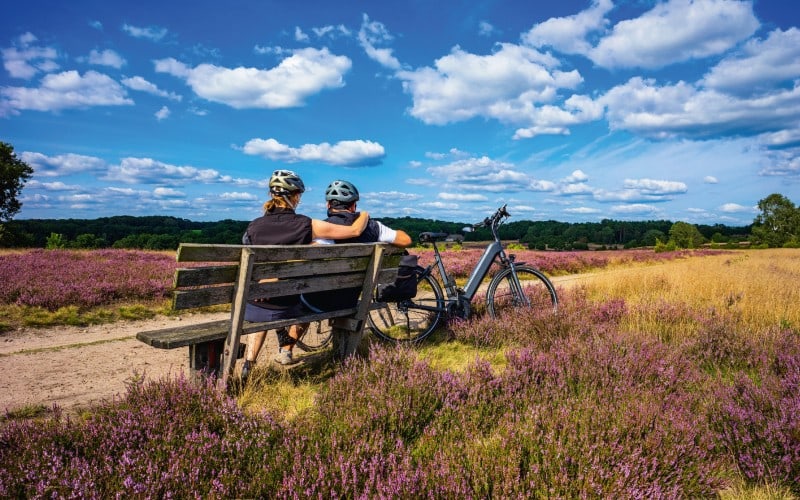 e-Bike-Romantik Lüneburger Heide 1