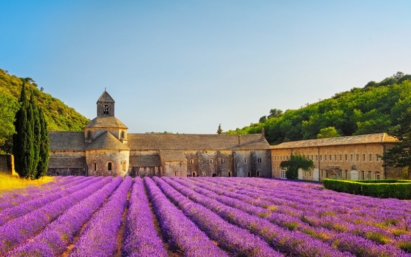Der Zauber der Provence 5