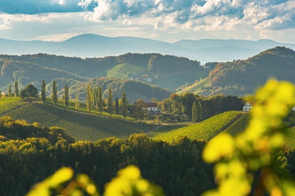 Die steirische Toskana 3
